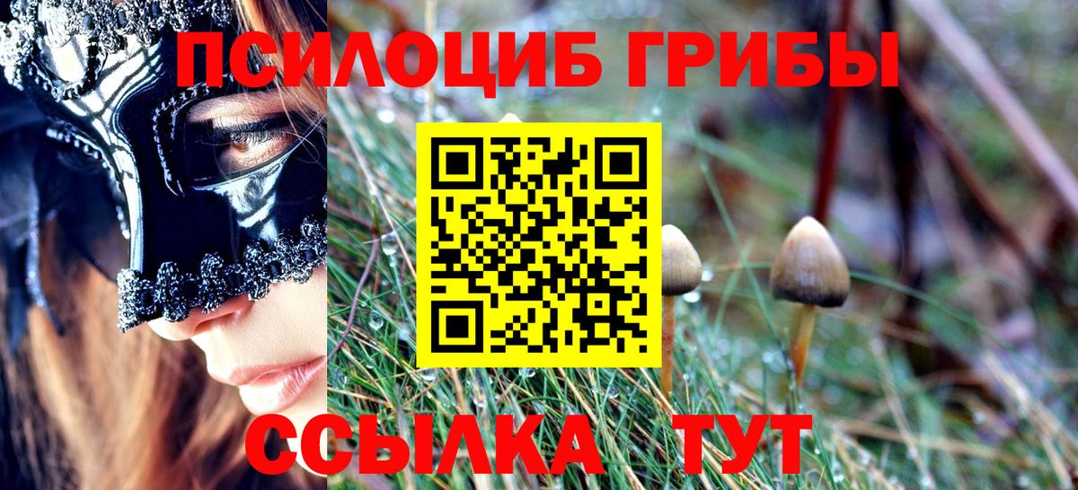 Каменск-Уральский  Галлюциногенные грибы прущие грибы  Вход с VPN 